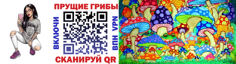 Галлюциногенные грибы Psilocybe  Майский 