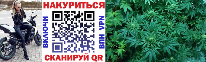 Бошки марихуана Amnesia  Майский 